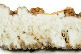 Polished White Plume Agate Slab - Nevada #371199-1
